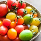 50 Seeds Mingle Mix Tomato Tomatoe Vegetable Edible Canning Flowers Garden