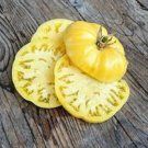 50 Seeds White Wonder Tomato Tomatoe Vegetable Edible Canning Flowers Garden