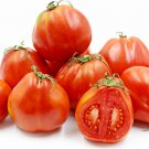 50 Seeds Red Anjou Tomato Tomatoe Vegetable Edible Canning Flowers Garden