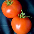 50 Seeds Sunleaper Tomato Tomatoe Vegetable Edible Canning Flowers Garden