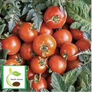 50 Seeds Velvet Red Tomato Tomatoe Vegetable Edible Canning Flowers Garden