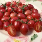 50 Seeds Rojita Tomato Tomatoe Vegetable Edible Canning Flowers Garden