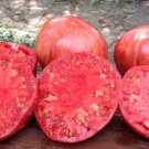 50 Seeds Jazzy Beefsteak Tomato Tomatoe Vegetable Flowers Garden