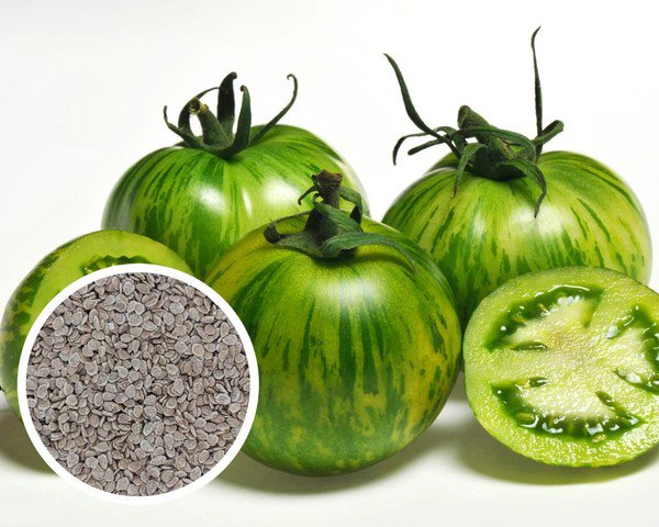 50 Seeds Green Zebra Tomato Vegetable Tomatoe Edible Day Harvest Flowers Garden