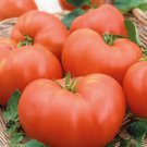 50 Seeds Summer Pink Tomato Tomatoe Vegetable Edible Canning Flowers Garden