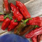25 Seeds Melrose Pepper Fresh Vegetables Healthy Flowers Garden