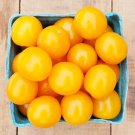 50 Seeds Esterina Tomato Juicy Tomatoe Vegetable Flowers Garden