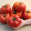 50 Seeds Church Tomato Juicy Tomatoe Vegetable Flowers Garden