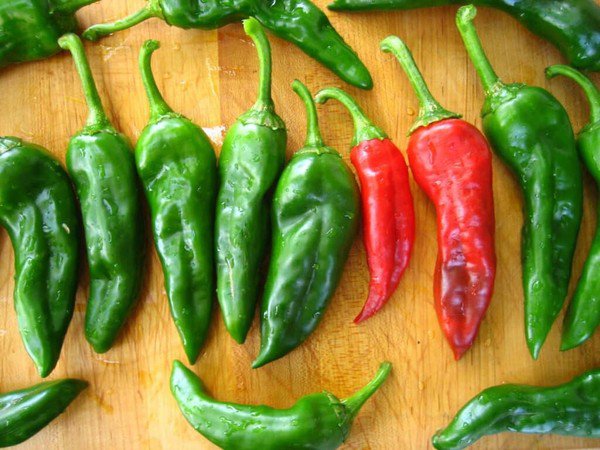 25 Seeds Chimay&Atilde;&sup3; Chile Pepper Vegetables Flowers Garden