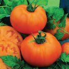 50 Seeds Chefs Choice Orange Tomato Juicy Tomatoe Vegetable Flowers Garden