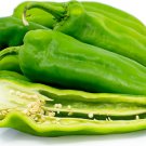 25 Seeds Anaheim Chile Pepper Vegetables Flowers Garden