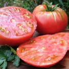 50 Seeds Mikado Tomato Tomatoe Vegetable Edible Canning Flowers Garden