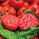 50 Seeds Red Rave Tomato Tomatoe Vegetable Edible Canning Flowers Garden