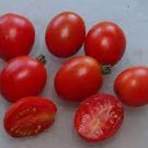 50 Seeds Moravsky Div Tomato Tomatoe Vegetable Edible Canning Flowers Garden