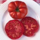 50 Seeds Chapman Tomato Juicy Tomatoe Vegetable Flowers Garden