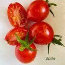 50 Seeds Sprite Tomato Tomatoe Vegetable Edible Canning Flowers Garden