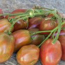 50 Seeds Moonshadow Tomato Tomatoe Vegetable Edible Canning Flowers Garden