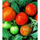50 Seeds Elberta Girl Tomato Juicy Tomatoe Vegetable Flowers Garden