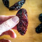 25 Seeds Chipotle Morita Pepper Vegetables Flowers Garden