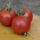 50 Seeds Quedlinburger Fruhe Liebe Tomato Tomatoe Vegetable Edible Cannin Flowers Garden