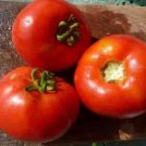 50 Seeds Lisa King Tomato Tomatoe Vegetable Flowers Garden