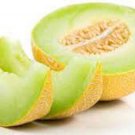 15 Seeds Honey Dew Melon Juicy Sweet Tasting Melons Fruit Flowers Garden