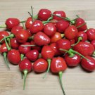 25 Seeds Guyana Wiri Wiri Pepper Pepper Vegetables Flowers Garden