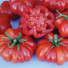 50 Seeds Rosso Sicilian Tomato Tomatoe Vegetable Edible Canning Flowers Garden