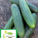 25 Seeds Masterpiece Cucumbers Flowers Garden