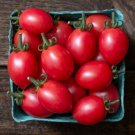50 Seeds Smarty Tomato Tomatoe Vegetable Edible Canning Flowers Garden