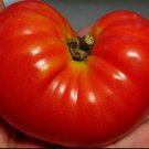 50 Seeds Waratah Tomato Heirloom Vegetable Tomatoe Edible Flowers Garden