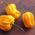 25 Seeds Golden Habanero Pepper Pepper Vegetables Flowers Garden