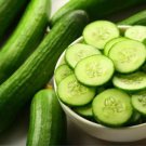 25 Seeds Vermont Cucumbers Easy Growing Cucks Vegetable 5Day Harvest Flowers Garden