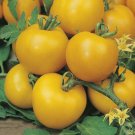 50 Seeds Lollipop Tomato Tomatoe Vegetable Flowers Garden