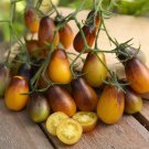 50 Seeds Indigo Pear Drops Tomato Heirloom Vegetable Tomatoe Edible Flowers Garden