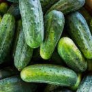 25 Seeds Bush Crop Cucumbers Flowers Garden