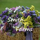 25 Seeds Pastels Statice Mixture Flowers Garden
