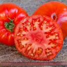 50 Seeds Pantano Romanesco Tomato Tomatoe Vegetable Edible Canning Flowers Garden