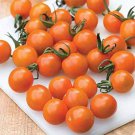 50 Seeds Orange Panuche Tomato Tomatoe Vegetable Edible Canning Flowers Garden