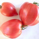 50 Seeds Oxheart Pink Tomato Tomatoe Vegetable Edible Canning Flowers Garden
