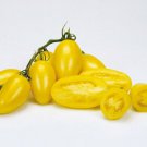 50 Seeds CREAM SAGE Tomato Heirloom Tomatoes Juicy Vegetable Flowers Garden