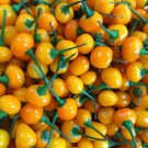25 Seeds Ají Charapita Pepper Vegetables Flowers Garden