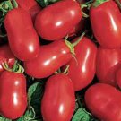 50 Seeds Roma Italian Tomato Heirloom Tomatoes Juicy Vegetable Flowers Garden