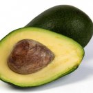 2 Seeds Lula Avocado Organic Delicious Creamy Fruit Flowers Garden