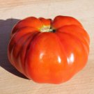 50 Seeds Chianti Rose Tomato Juicy Tomatoe Vegetable Flowers Garden