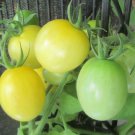 50 Seeds Dwarf Bendigo Moon Tomato Juicy Tomatoe Vegetable Edible Flowers Garden
