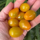 50 Seeds Flaming Burst Tomato Juicy Tomatoe Vegetable Flowers Garden