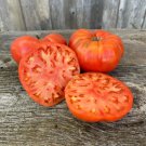 50 Seeds Whittemore Tomato Tomatoe Vegetable Edible Canning Flowers Garden