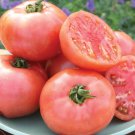 50 Seeds Pink Pounder Tomato Tomatoe Vegetable Edible Canning Flowers Garden