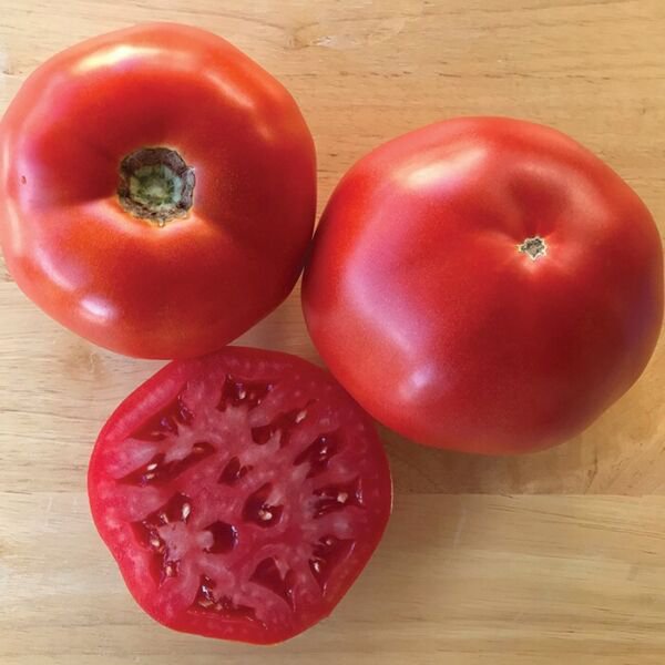 50 Seeds Thunderbird Tomato Tomatoe Vegetable Edible Canning Flowers Garden